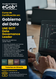 Data Governance Leader
